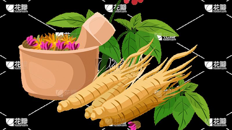 北京正宗拔罐体验：探寻古法传承与现代技艺