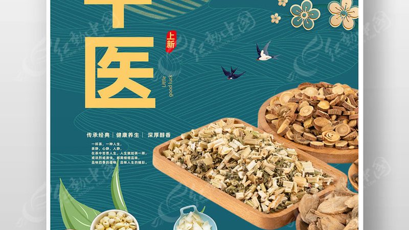养生馆加盟代理，成本构成解析**