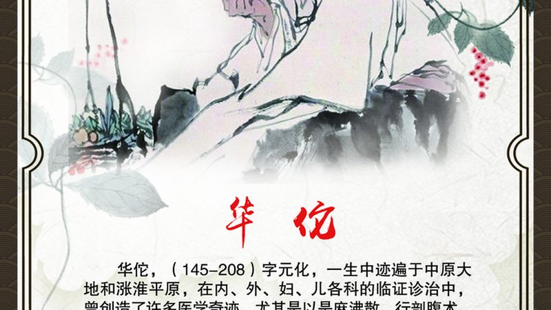上海中医诊所如何挑选？看这5个关键点